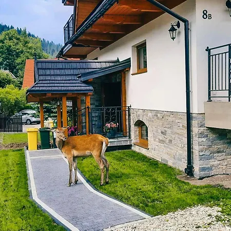 Niezapominajka 3* Zakopane