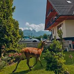 Pensjonat Niezapominajka 3*