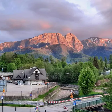 Niezapominajka